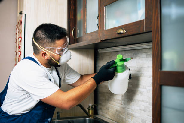 Best Mosquito Control Services  in Lake Darby, OH