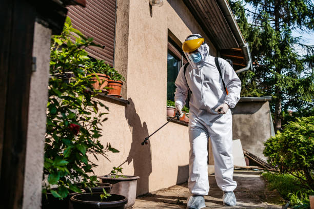 Pest Prevention Services in Lake Darby, OH
