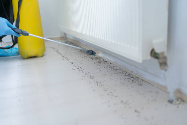 Best Pest Prevention Services  in Lake Darby, OH