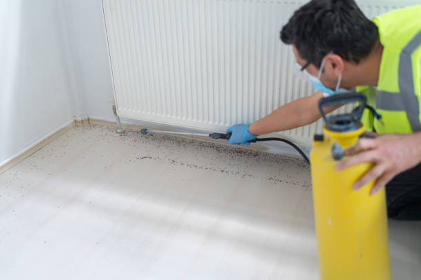 Best Pest Control for Businesses  in Lake Darby, OH