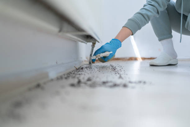 Best Cockroach Control Services  in Lake Darby, OH